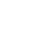 Fast Delivery